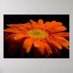 Poster Côté Gerber