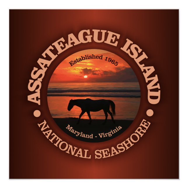 Poster Côte nationale de l'île Assateague (Devant)