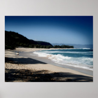 Poster Côte Nord, Oahu