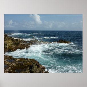 Poster Côte rocheuse d'Aruba et océan bleu