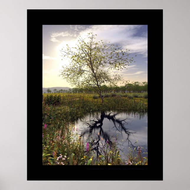 Poster Côté sombre - Le côté obscur (Devant)