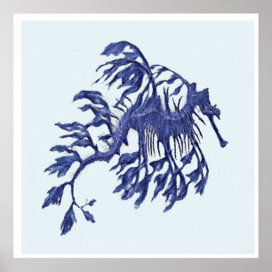 Poster Côtier - Dragon de mer Weedy