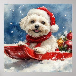 Poster Coton De Tulear en Luge Laissez-le neiger Noël