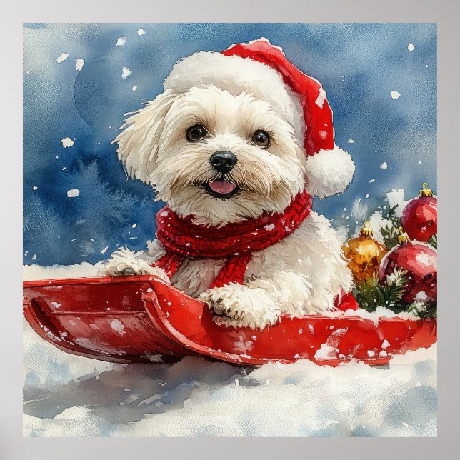 Poster Coton De Tulear en Luge Laissez-le neiger Noël (Devant)