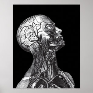 Poster Cou Médicale vintage noir et blanc de tête