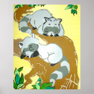Poster couché de Baby Raccoons