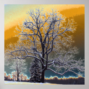 Poster Coucher de soleil