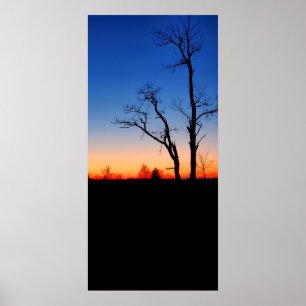 Poster Coucher de soleil à travers les arbres