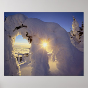 Poster Coucher de soleil à travers les Snowghosts à Big M
