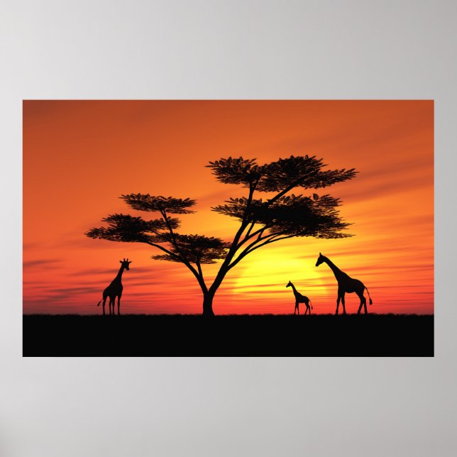 Poster Coucher de soleil africain (Devant)