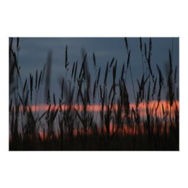 Poster Coucher de soleil agricole