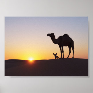 Poster Coucher de soleil avec chameau et renard fennec