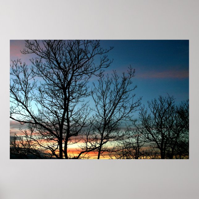 Poster Coucher de soleil coloré (Devant)