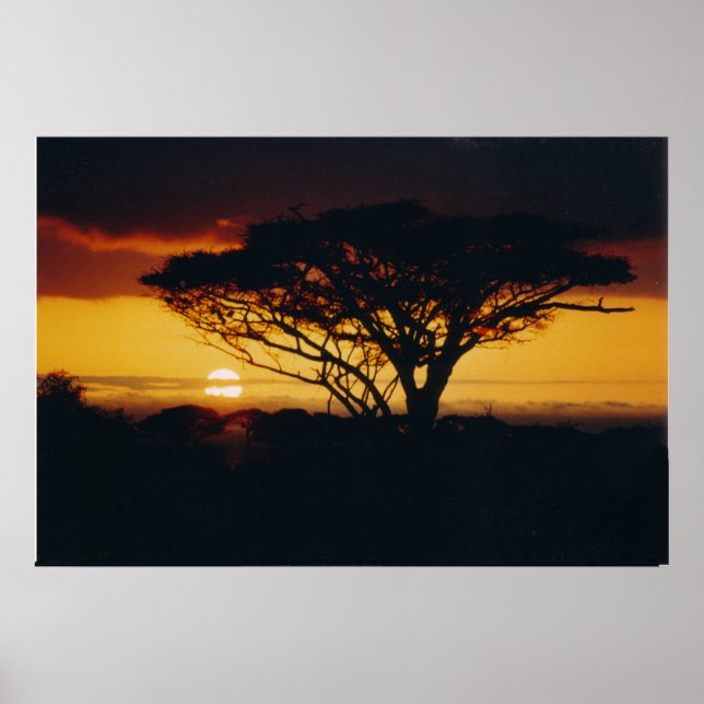 Poster coucher de soleil d'afrique (Devant)