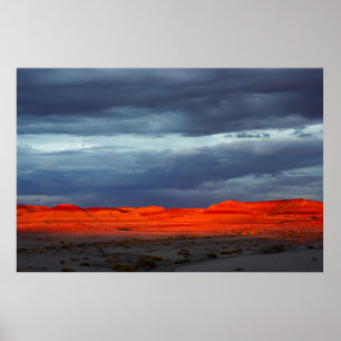 Poster Coucher de soleil dans la forêt pétrifiée