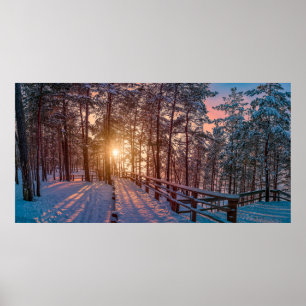 Poster Coucher de soleil dans la pinède enneigée avec ray