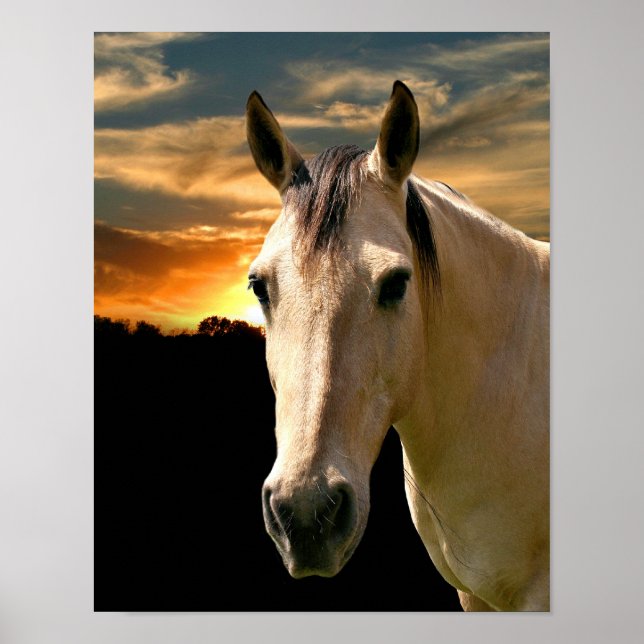 Poster Coucher de soleil de cheval de Buckskin (Devant)