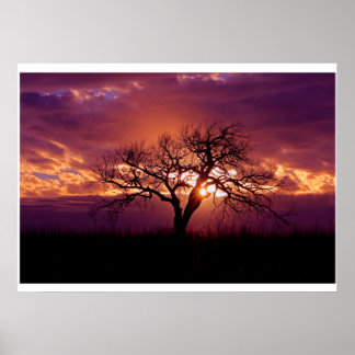 Poster Coucher de soleil de Flint Hills