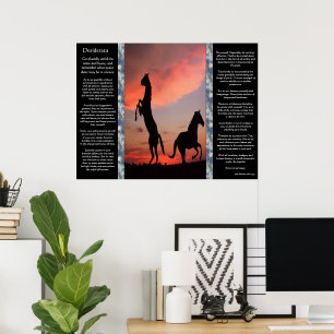Poster Coucher de soleil de l'étoile noire de Desiderata