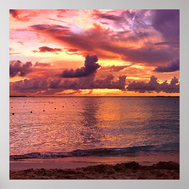 Poster Coucher de soleil de plage tropical (Devant)