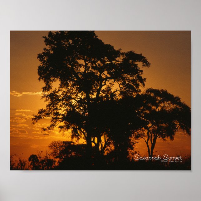 Poster Coucher de soleil de Savannah (Devant)