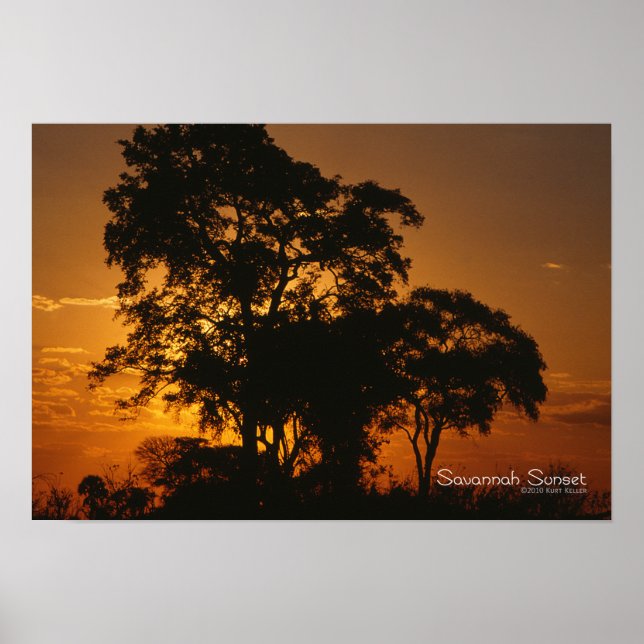 Poster Coucher de soleil de Savannah (Devant)