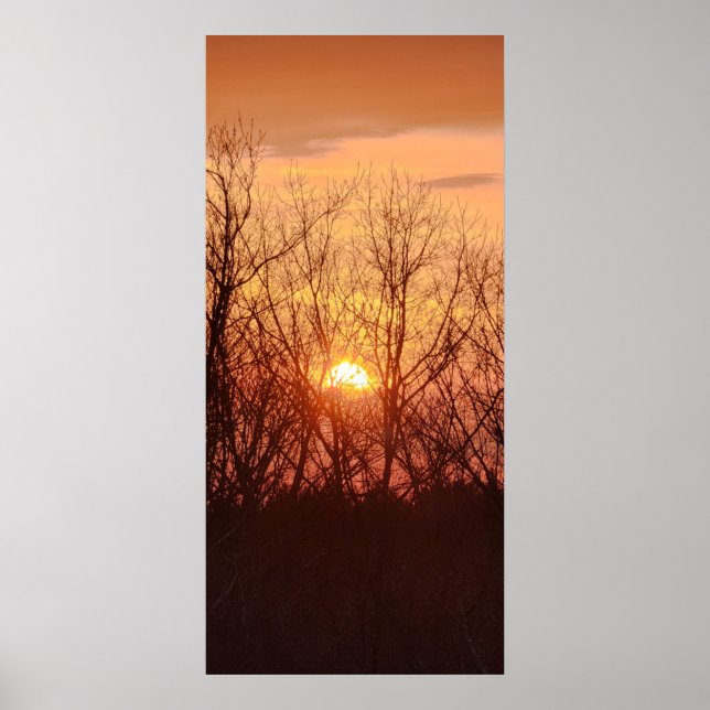 Poster Coucher de soleil derrière les arbres (Devant)