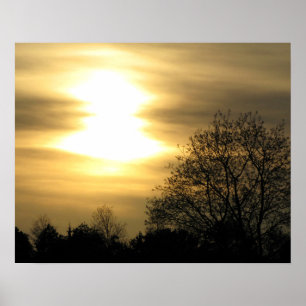 Poster Coucher de soleil doré avec arbres silhoués