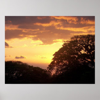 Poster Coucher de soleil du Costa Rica II