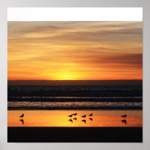 Poster Coucher de soleil en Californie