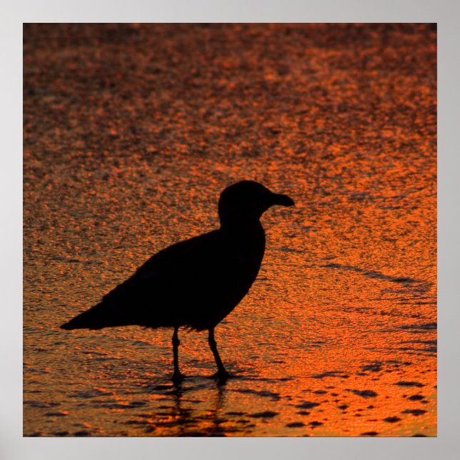 Poster Coucher de soleil en cuivre (Devant)