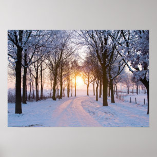 Poster Coucher de soleil en hiver