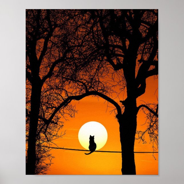 Poster Coucher de soleil en silhouette de chat noir (Devant)