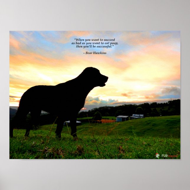 Poster Coucher de soleil et caca (Devant)