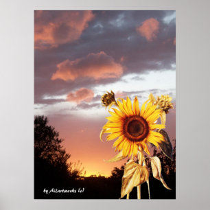 POSTER COUCHER DE SOLEIL ET ROSE EN ÉTÉ
