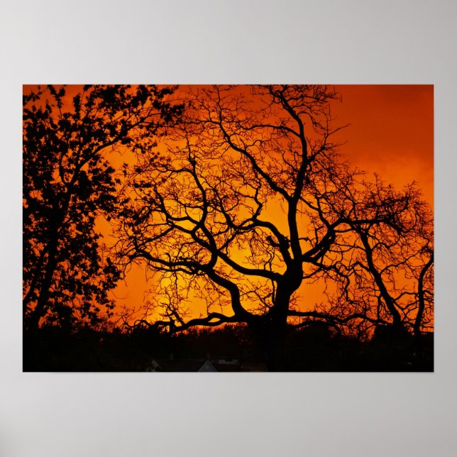 Poster Coucher de soleil orange (Devant)