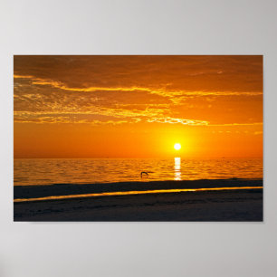 Poster Coucher de soleil Orange Florida