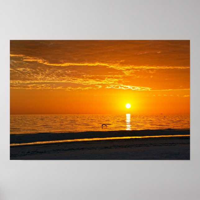 Poster Coucher de soleil orange Floride (Devant)