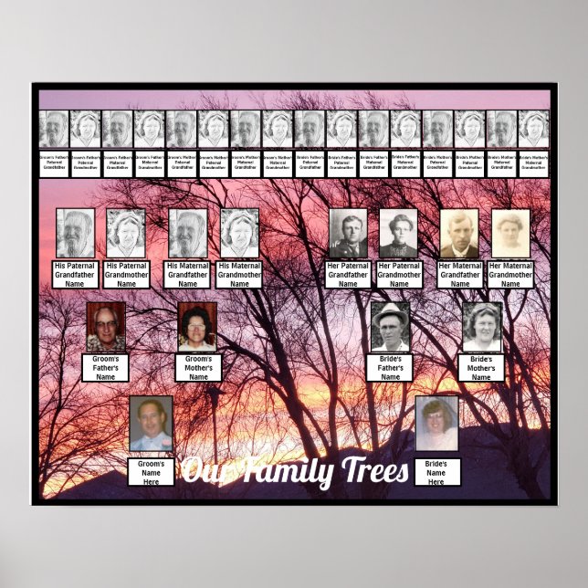 Poster Coucher de soleil rose violet Photo Deux arbres de (Devant)