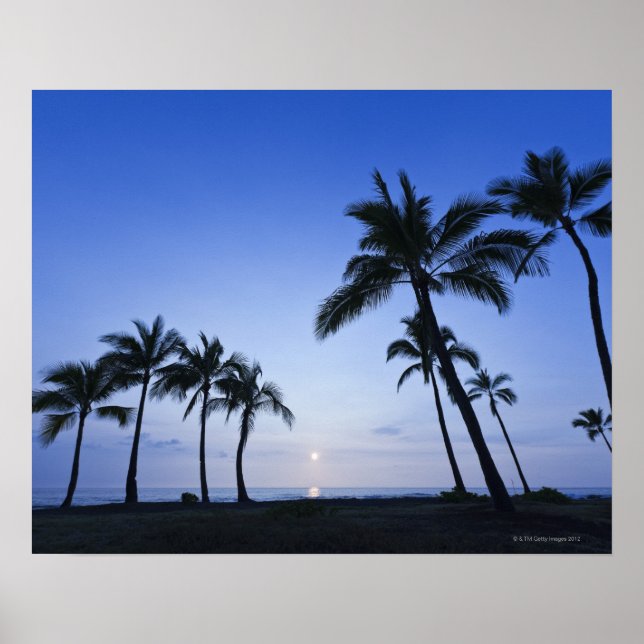 Poster Coucher de soleil sur Kahaluu Bay à Kona, Hawaii (Devant)