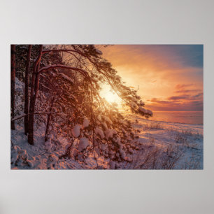 Poster Coucher de soleil sur la mer et le pin