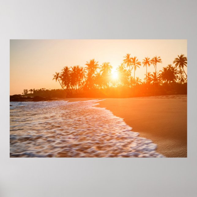 Poster Coucher de soleil sur la plage aux cocotiers | Sri (Devant)
