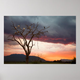 Poster Coucher de soleil sur le marais de Kandheri avec d