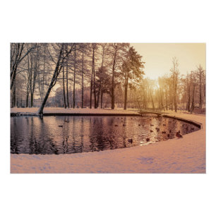 Poster Coucher de soleil sur le parc avec petit lac gelé