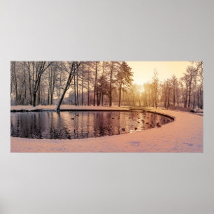 Poster Coucher de soleil sur le parc avec petit lac gelé