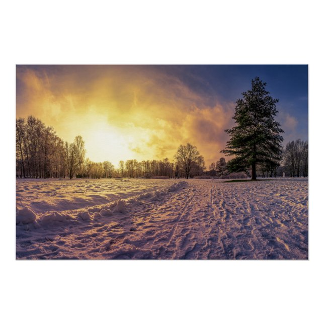 Poster Coucher de soleil sur le parc d'hiver enneigé (Devant)