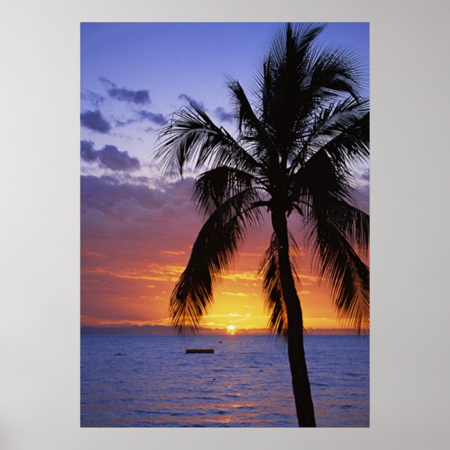 Poster Coucher de soleil tropical avec palmier (Devant)
