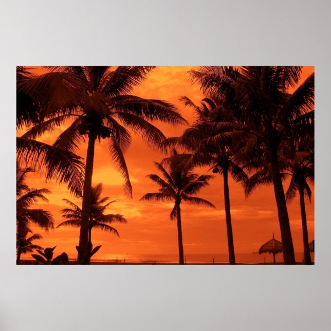 Poster Coucher de soleil tropical Design été Palmiers Pay (Devant)