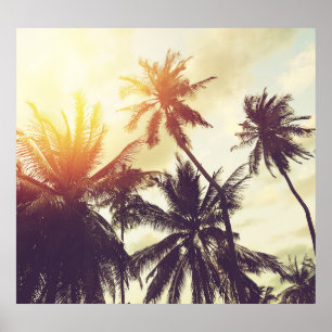 Poster Coucher de soleil tropical : Palm Silhouette Vinta
