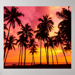 Poster Coucher de soleil tropical : Silhouette de palme s